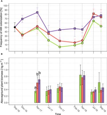 Boosting species evenness, productivity and weed control in a mixed meadow by promoting arbuscular mycorrhizas